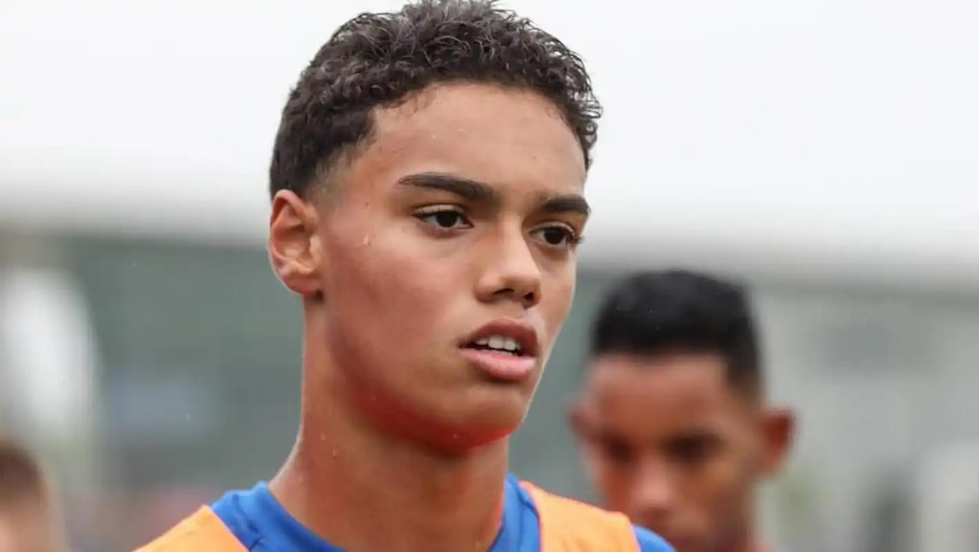 他们心爱的 他们心爱的